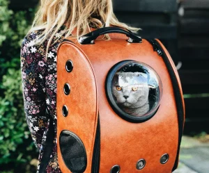 raoul-droog-Ea8rP2Ebp_4-unsplash_optimized