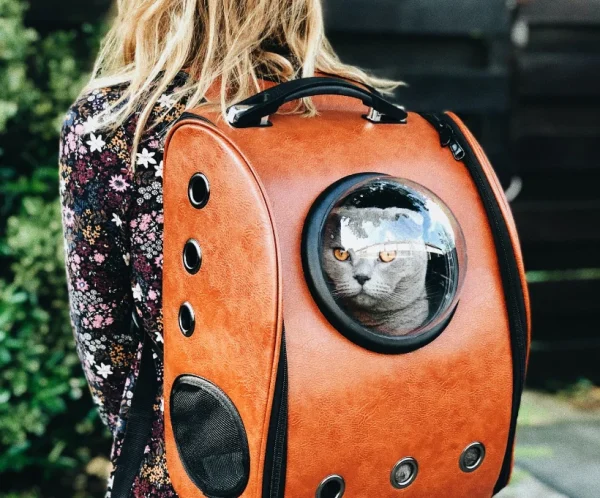 raoul-droog-Ea8rP2Ebp_4-unsplash_optimized